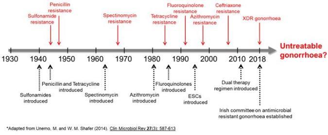 AMR gonorrhoea home page image